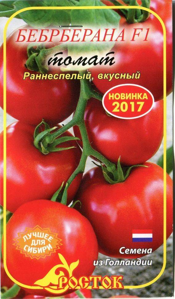 Томат берберана f1 - описание сорта, характеристика, урожайность, отзывы, фото