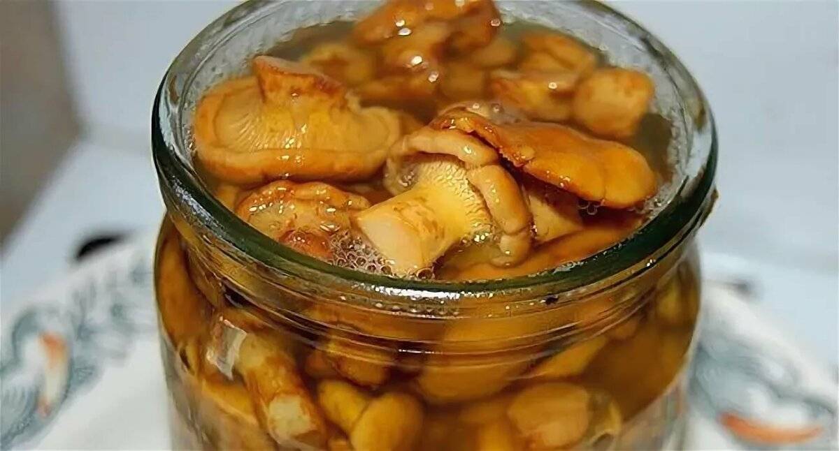 Лисички на зиму рецепты приготовления: маринованные, соленые, жаренные
