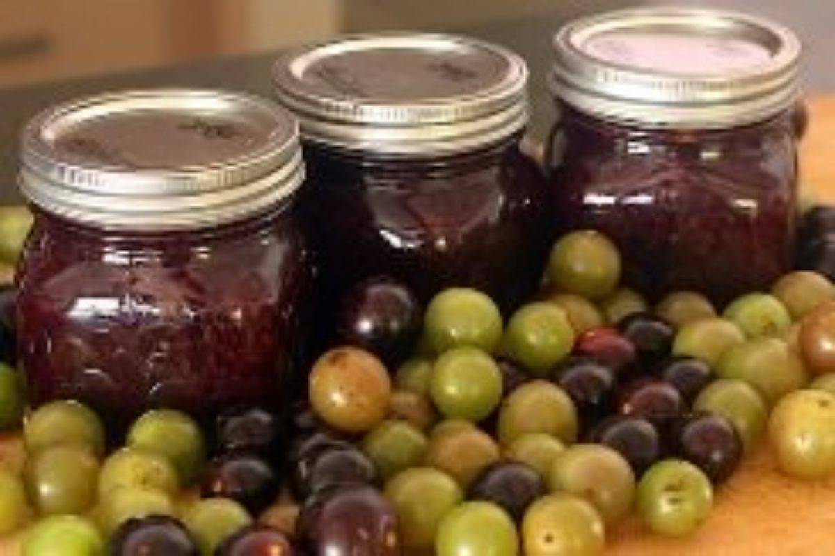 Топ-10 рецептов виноградного варенья: вкусно и просто