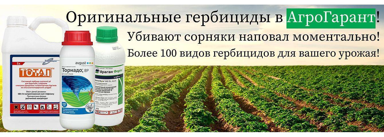 Как пользоваться гербицидами сплошного действия