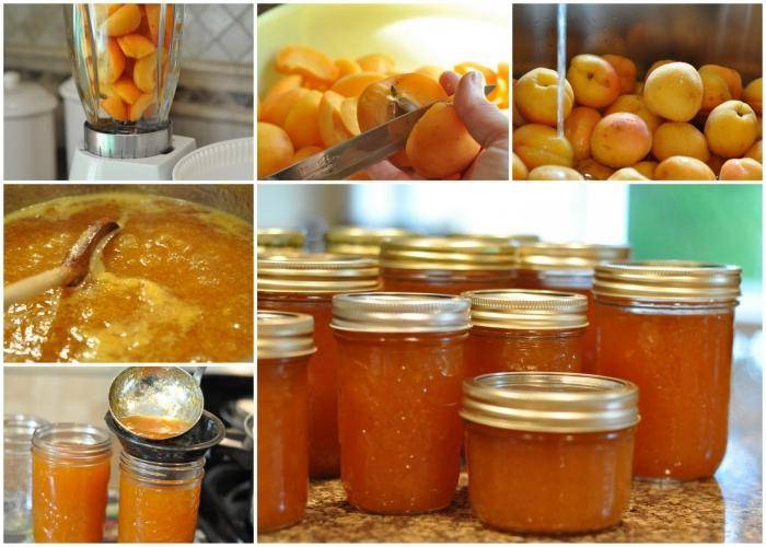 Варенье из абрикосов - 110 рецептов на зиму простых и вкусных с пошаговыми фото