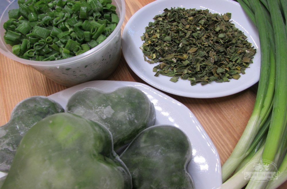 19 лучших рецептов, как заготовить на зиму зеленый лук в домашних условиях