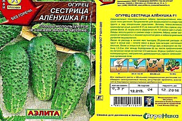 Огурец сестрица аленушка: характеристика и описание сорта, урожайность с фото