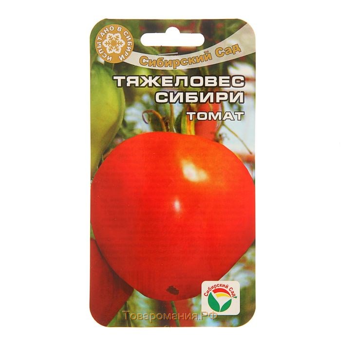 Особенности томата тяжеловес сибири - характеристика и описание сорта, полезные советы, отзывы и правила выращивания