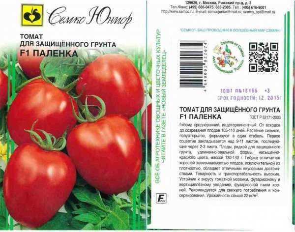 Описание яркого томата Паленка, выращивание рассады и уход за гибридом