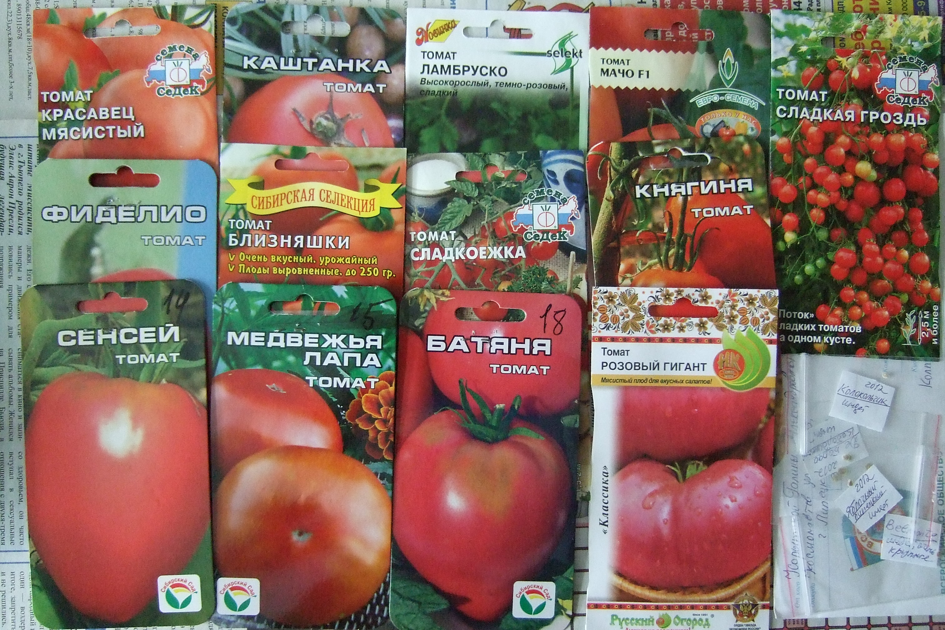 Характеристика и описание томата Сенсей, выращивание сорта