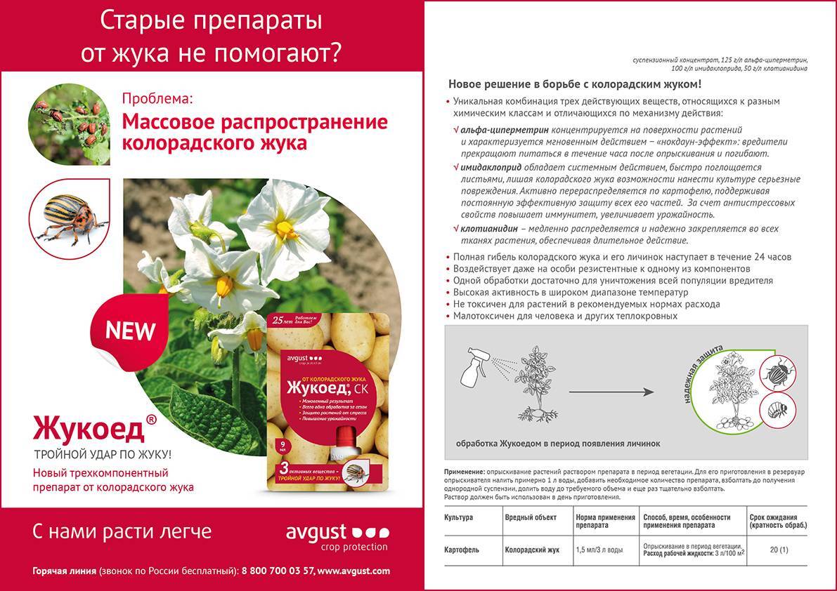 Бромгексин: инструкция по применению