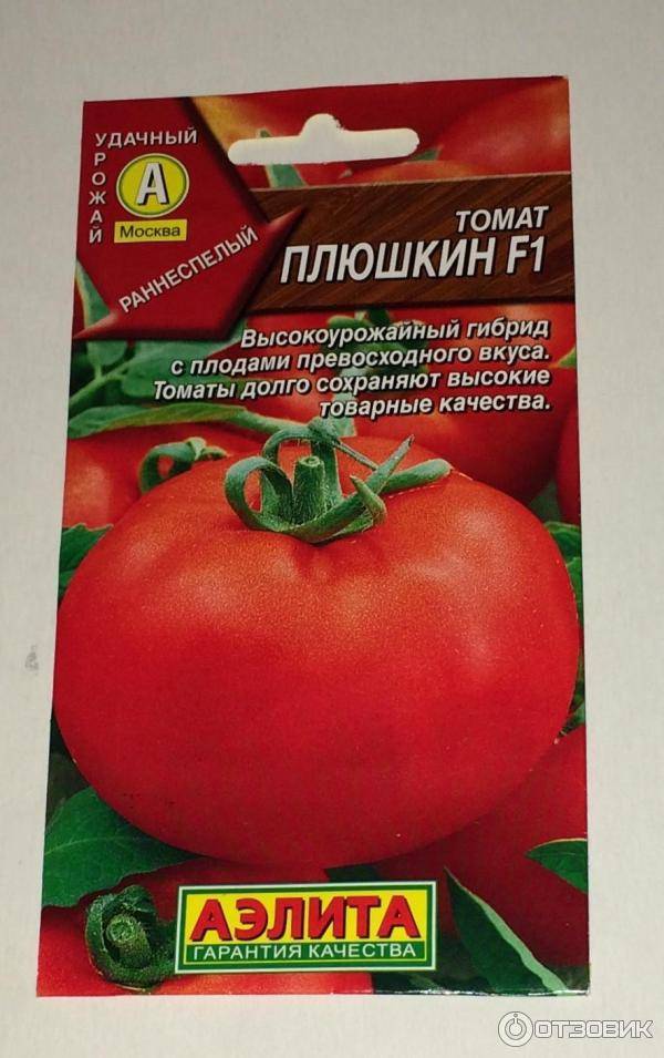 Томат полбиг f1: отзывы огородников, фото куста, характеристика и описание сорта
