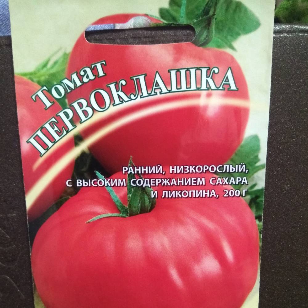 Томат первоклашка: характеристика и описание сорта, отзывы тех кто сажал помидоры об их урожайности, фото куста