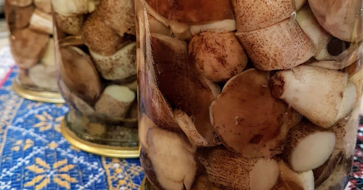 Как правильно и вкусно готовить подосиновики - грибы собираем