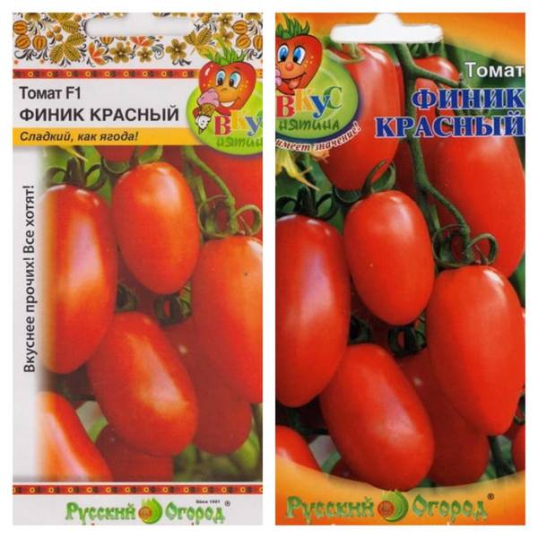 Томат финик красный f1 желтый оранжевый сибирский характеристика и описание сорта с фото