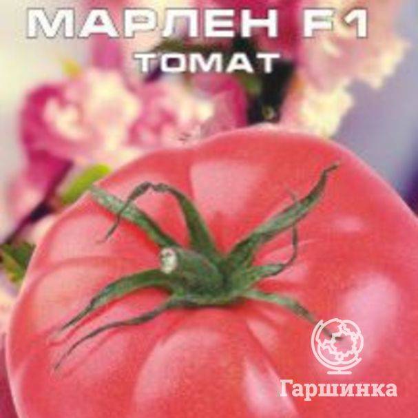 Томат лили марлен f1: отзывы и лайфхаки для повышения урожайности, характеристика и описание сорта, его преимущества и недостатки