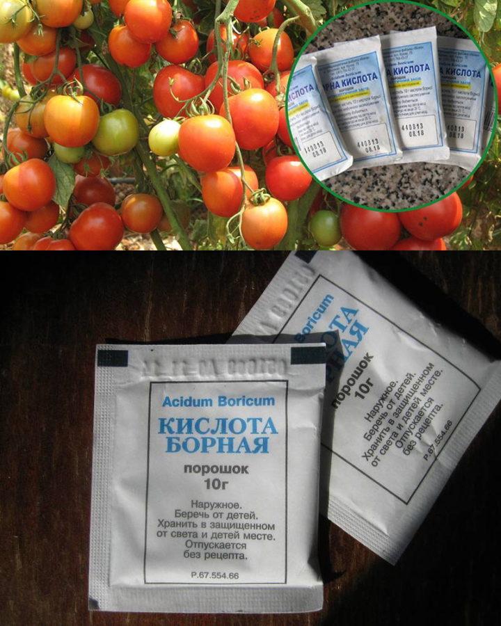 Аптечка в помощь дачникам: дешево и с пользой — как правильно подкармливать томаты йодом для роста рассады — фазенда