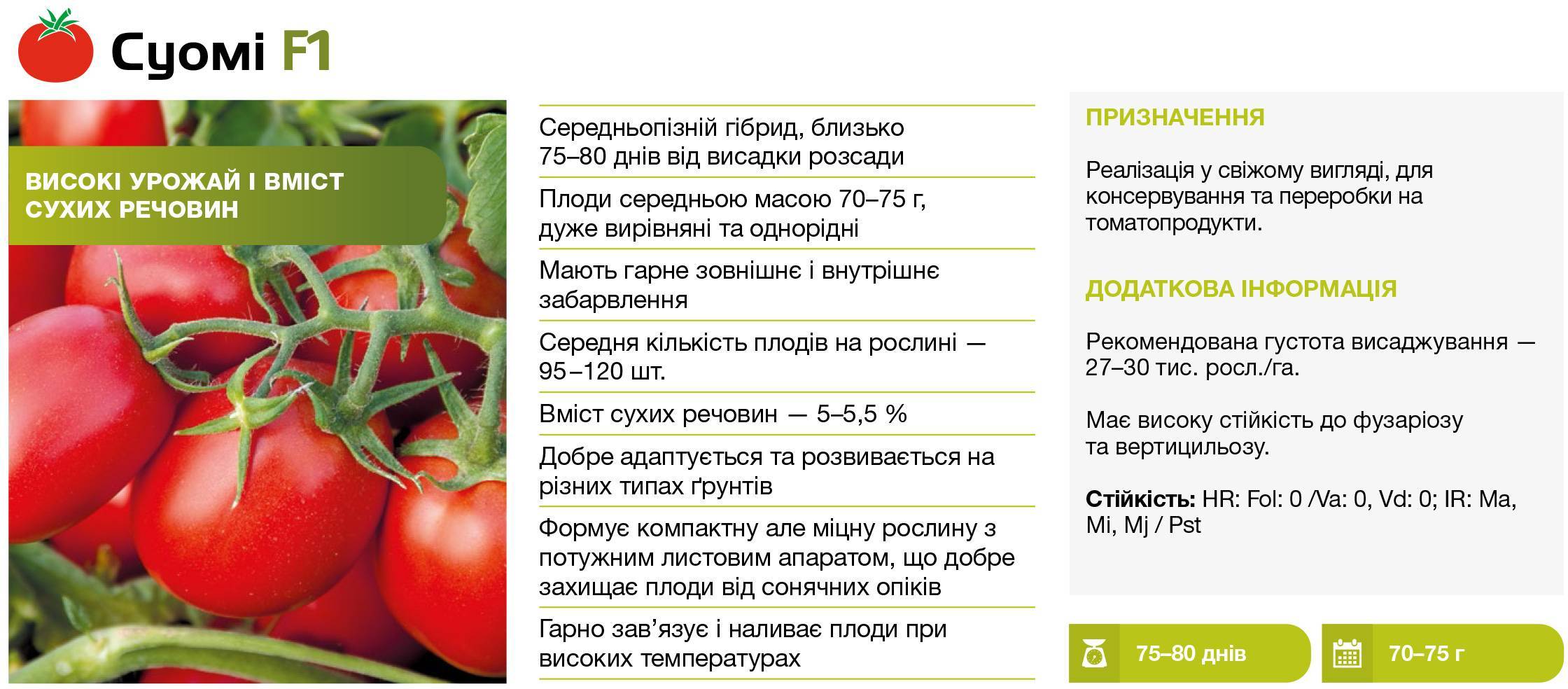 Описание томата Яна и выращивание детерминантного сорта
