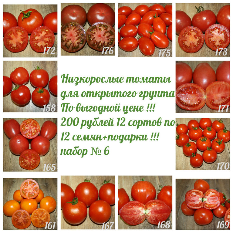 Томат сызранская пипочка: характеристика и описание сорта, урожайность с фото
