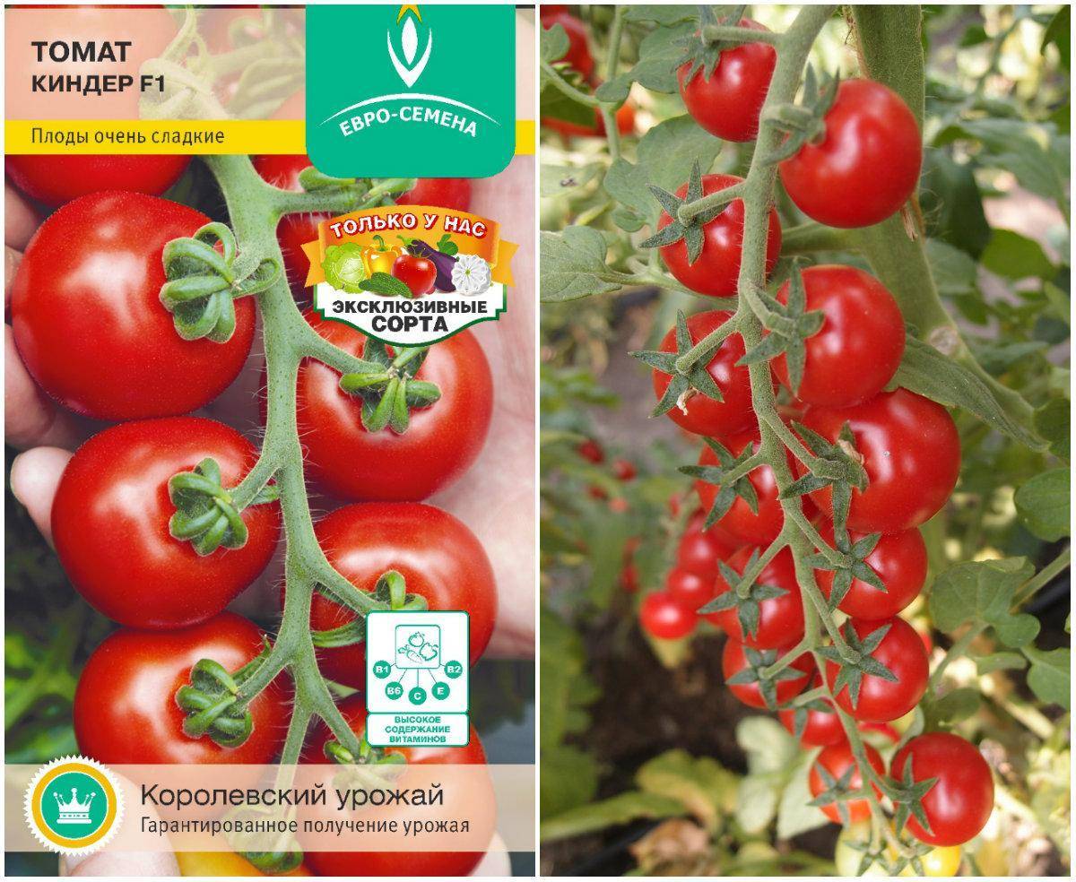 Характеристика и описание сорта томата сладкая гроздь, его урожайность