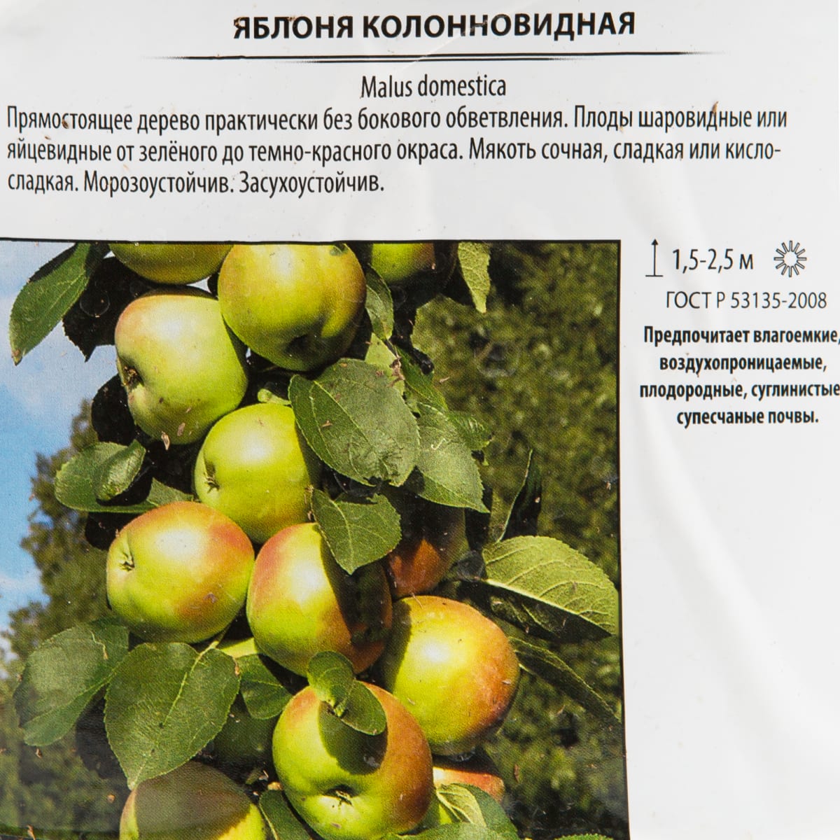 Яблоня "московское ожерелье": описание сорта, фото, отзывы