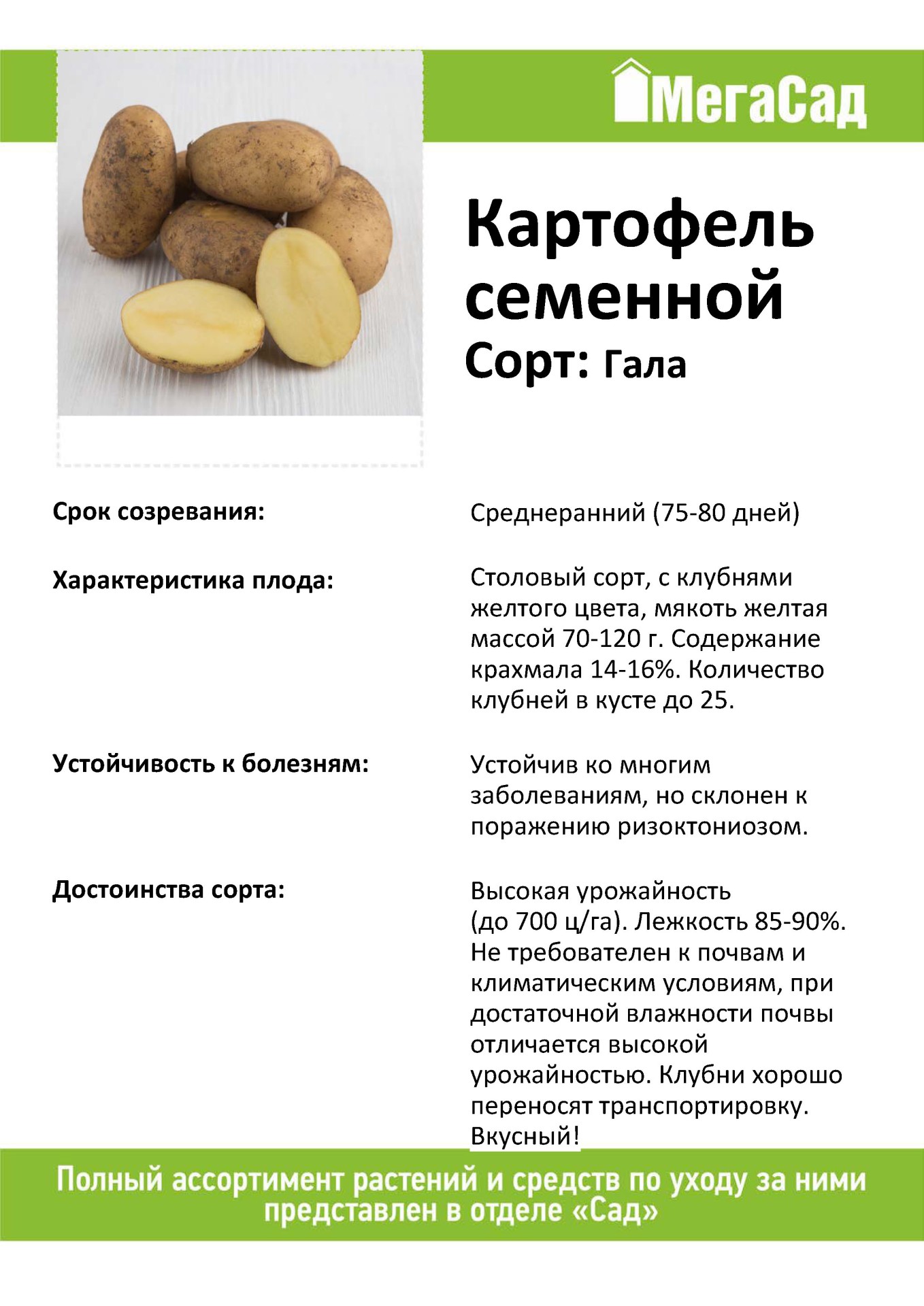 Картофель гала: описание сорта, отзывы, фото