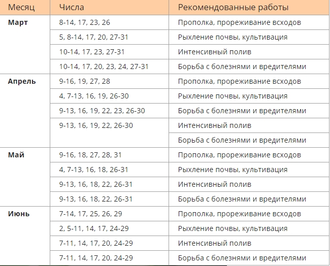 Когда сажать огурцы на рассаду по лунному календарю 2022 года