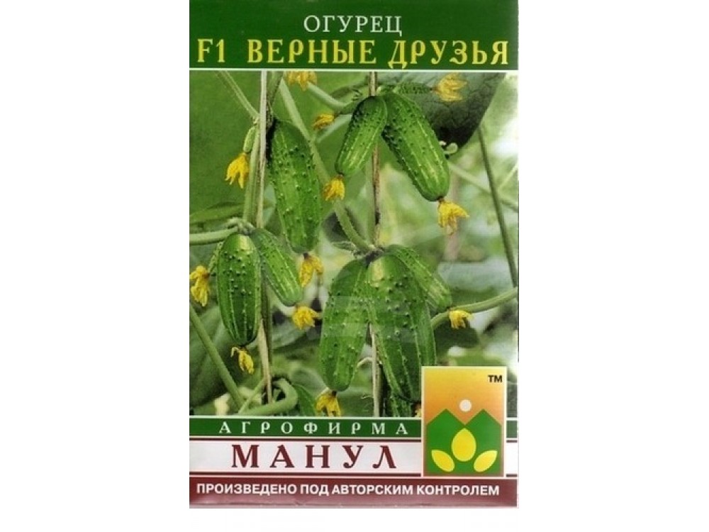 Огурец верные друзья f1: описание сорта, посадка, уход, фото