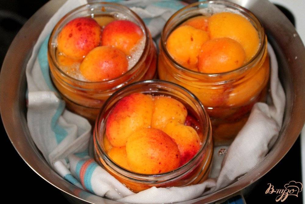 Как хранить абрикосы: правила и лучшие способы на зиму в домашних условиях, чтобы не испортились