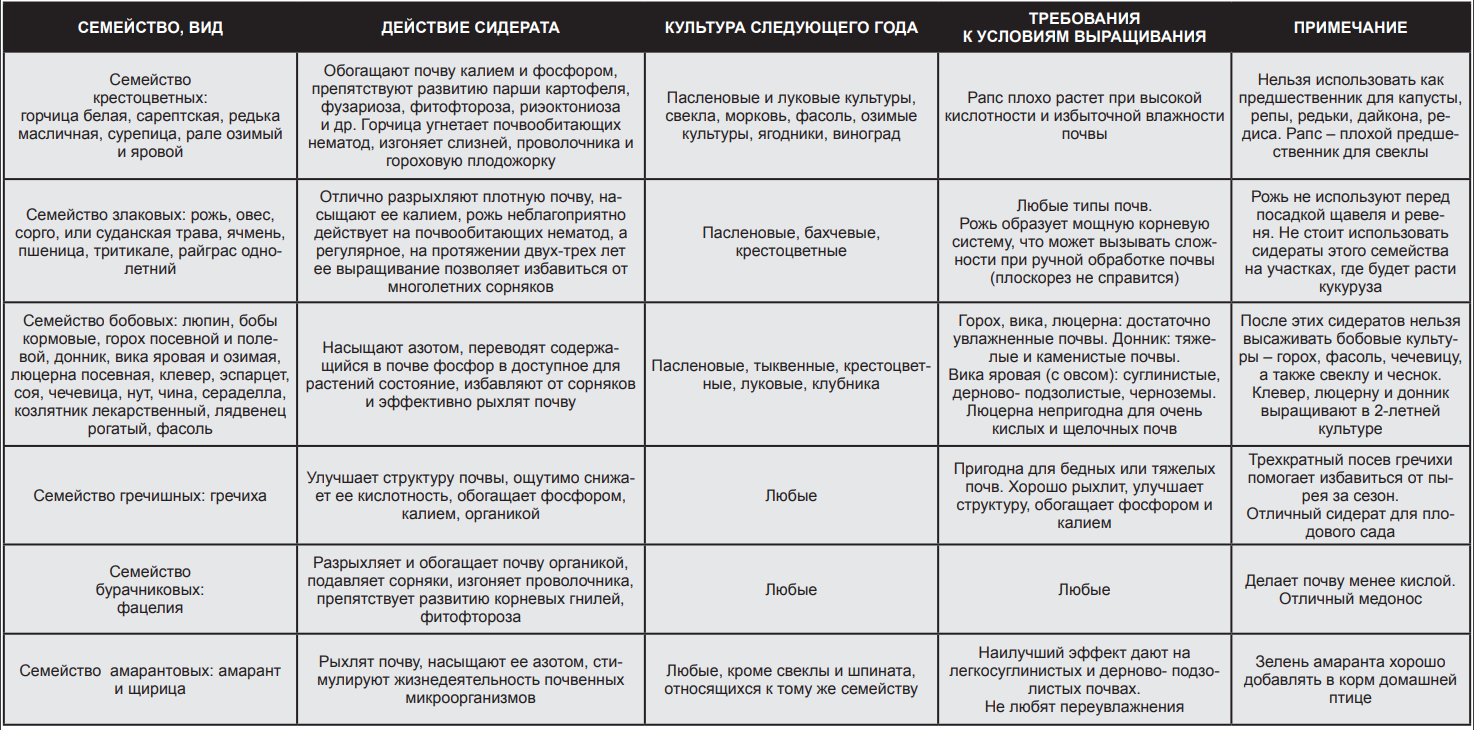 Сидераты список с картинками