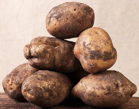Сорт картофеля лорх характеристика фото