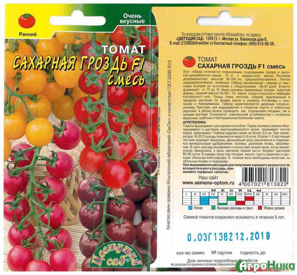 Алая гроздь томат описание и фото