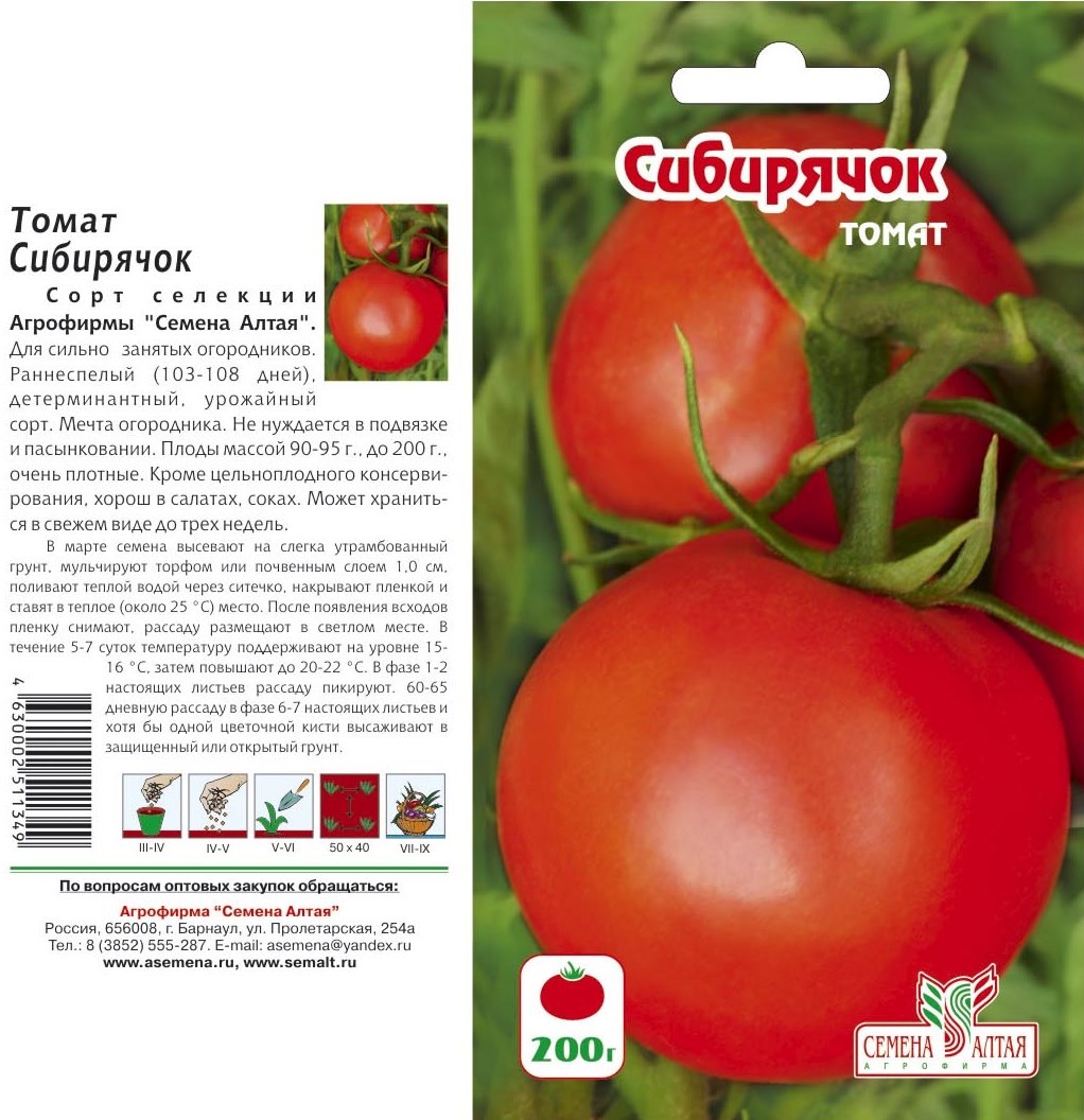Описание томатов снежная сказка и рекомендации по выращиванию