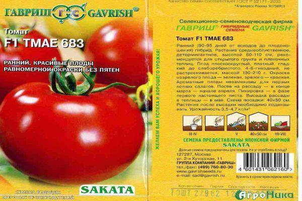 Как вырастить помидоры безрассадным способом: плюсы и минусы технологии