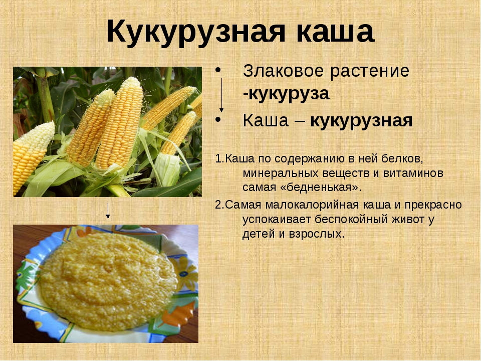 Початок для здоровья: полезные и вредные свойства кукурузы