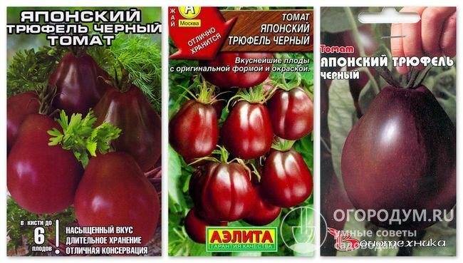 Томат японский трюфель - преимущества и недостатки выращивания в домашних условиях (120 фото)