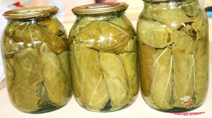 Маринованные огурцы с базиликом на зиму: лучшие рецепты и рекомендации по приготовлению и хранению
