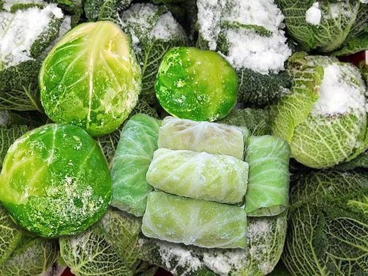 Заморозка цветной капусты: рецепт на зиму