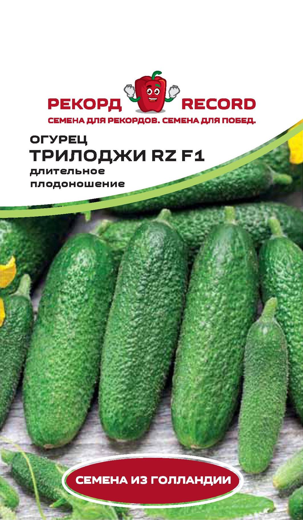 Огурцы трилоджи f1: описание и характеристики сорта. сорт огурцов трилоджи f1: отзывы, фото, урожайность, секреты выращивания