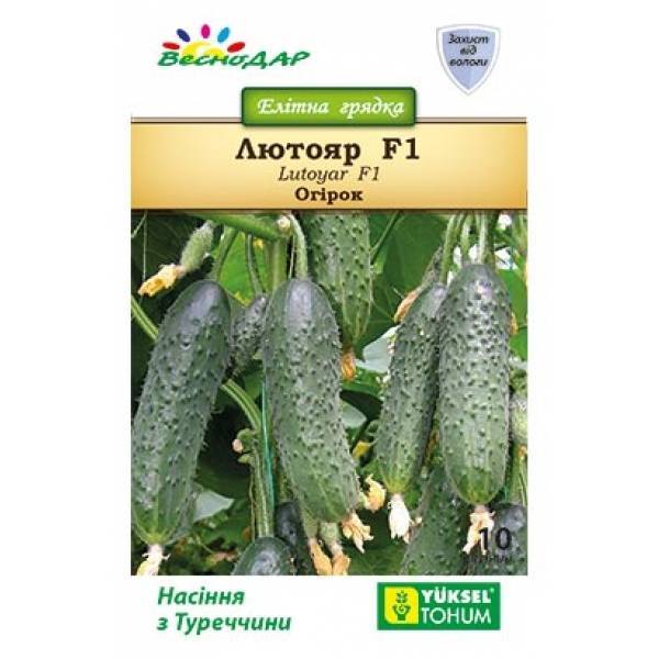 Сорт огурцов лютояр f1: характеристика и описание сорта с фото, урожайность, выращивание и уход