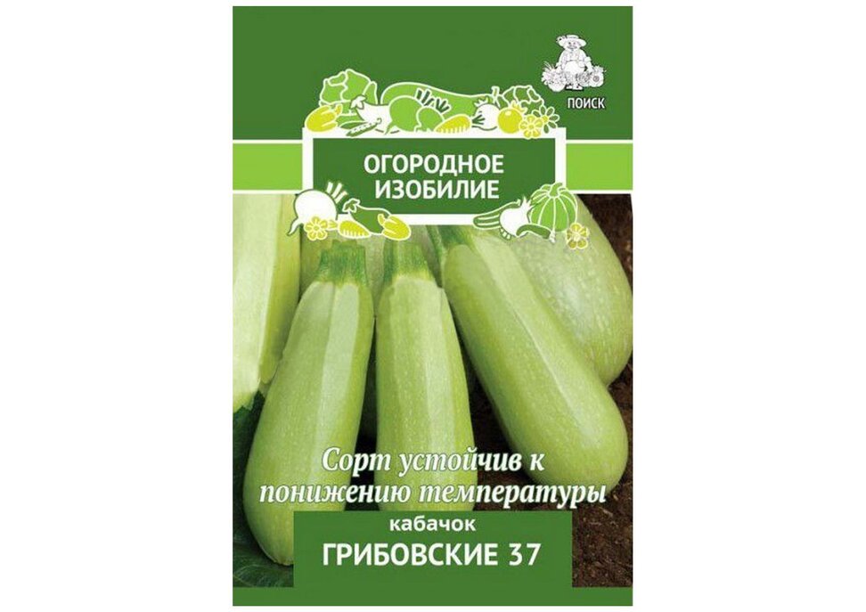 Кабачок грибовский: особенности ухода и отзывы дачников