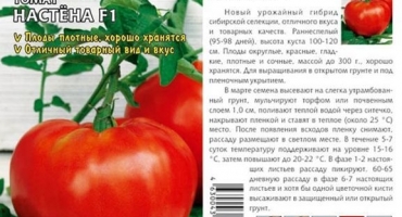 Описание томата сахарная настасья и агротехника культивирования
