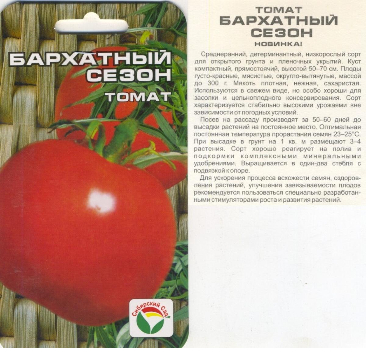 Выращивание томатов – в открытом грунте, от а до я, как правильно ухаживать, советы агронома, видео