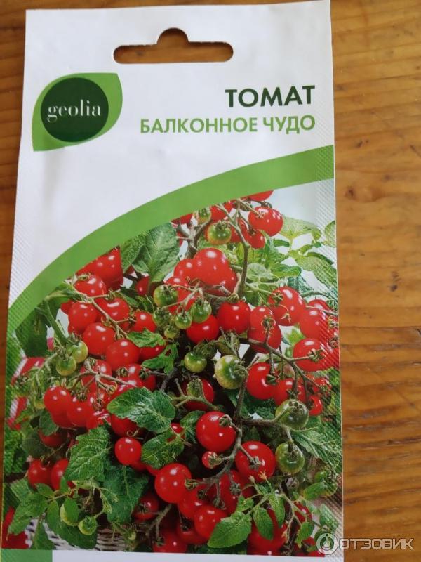 Как выращивать томаты "балконное чудо" в домашних условиях: описание ухода