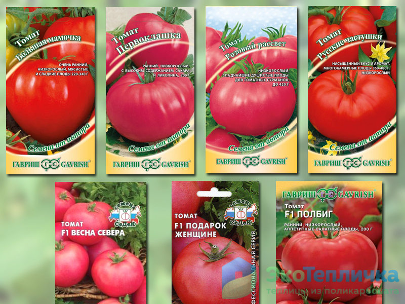 Лучшие сорта индетерминантных томатов для теплицы и открытого грунта: самые урожайные и вкусные