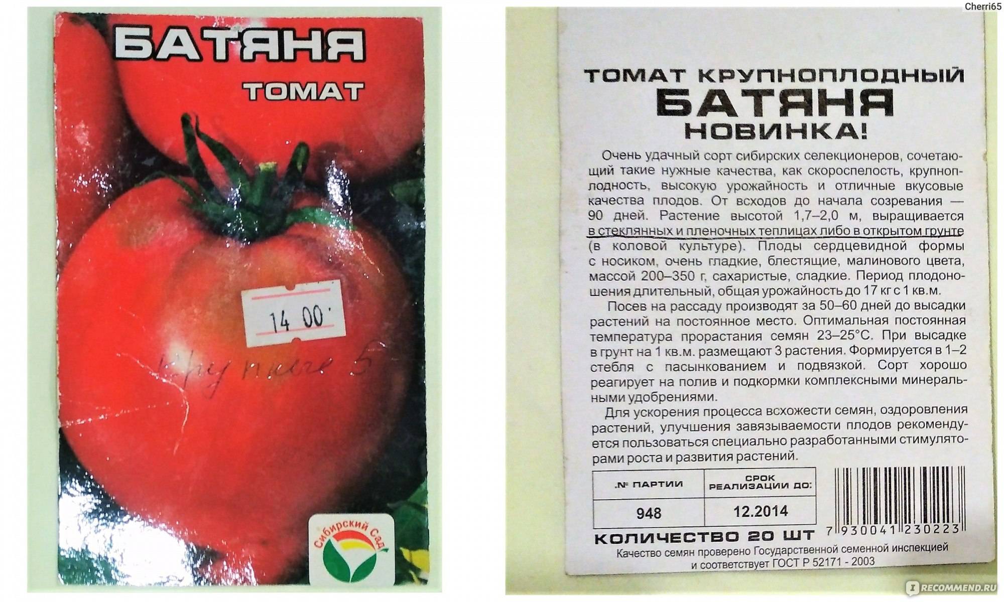 Томат батяня: характеристика сорта, урожайность и способы посадки, плюсы и минусы помидора