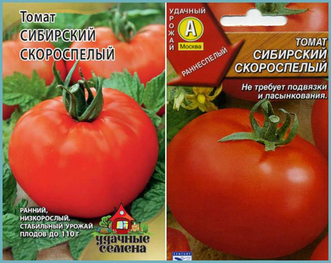 Помидоры Сибирский Описание Сорта Фото