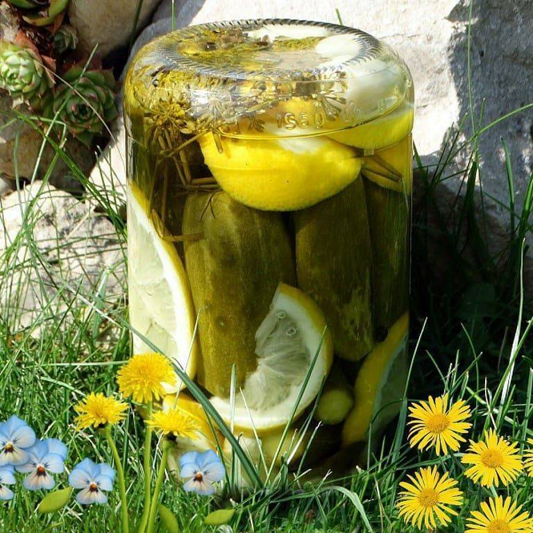Вкусные рецепты маринования пражских огурцов с лимоном и лимонной кислотой на зиму