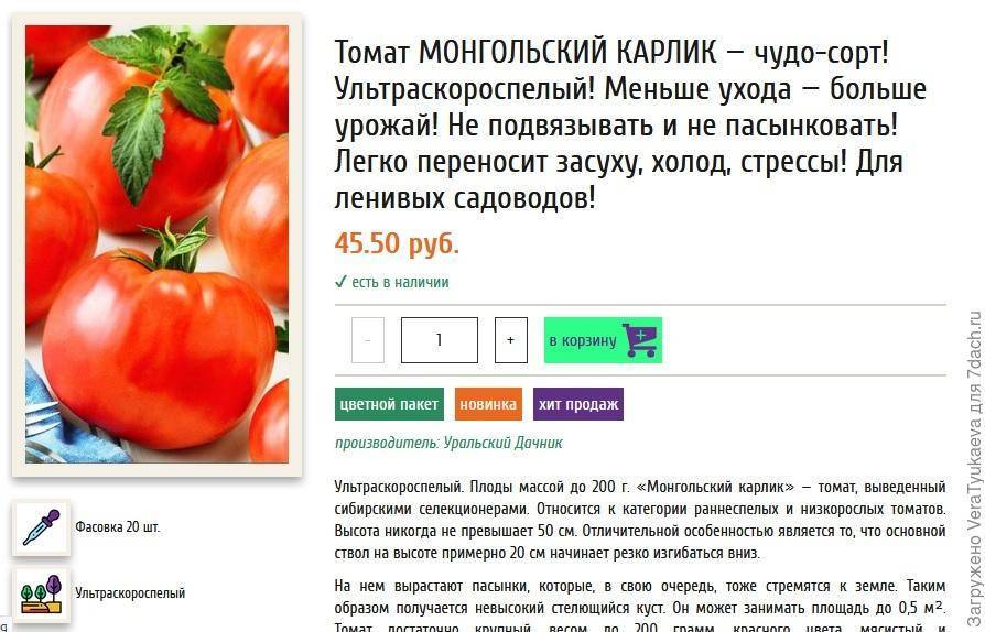 Описание сорта томата Монгольский карлик, особенности выращивания и ухода