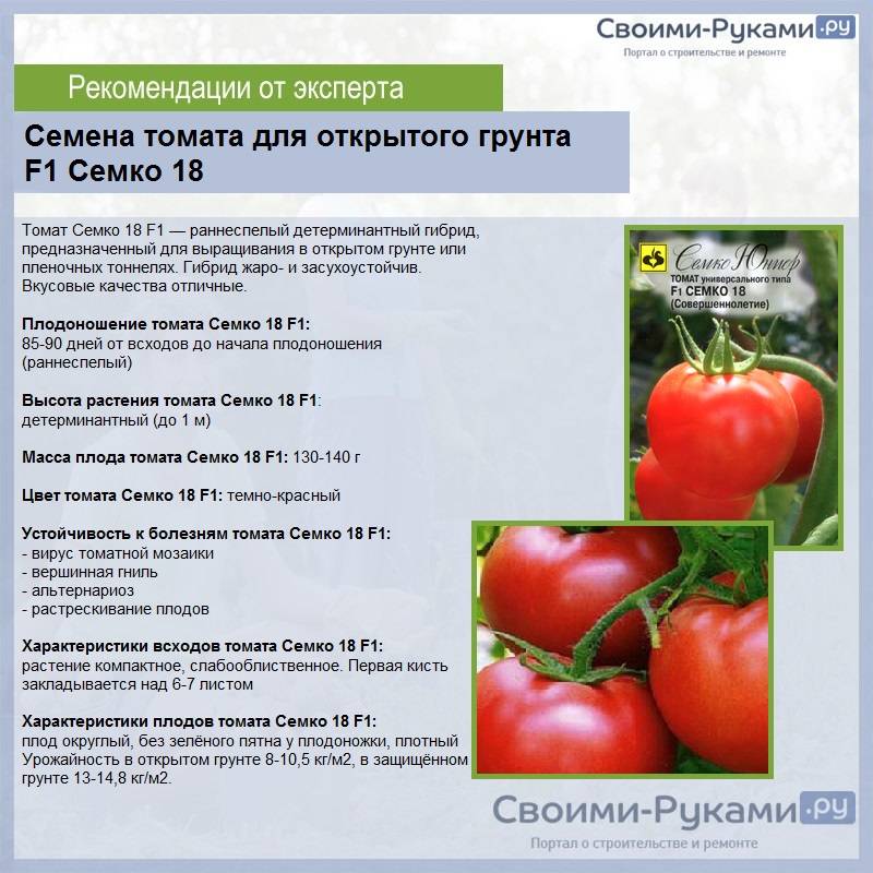 Что такое гибриды томатов f1?