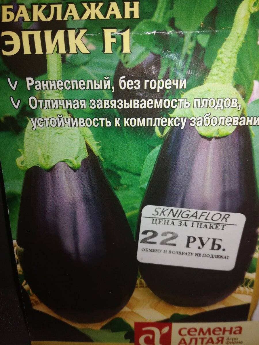 Баклажан эпик схема посадки