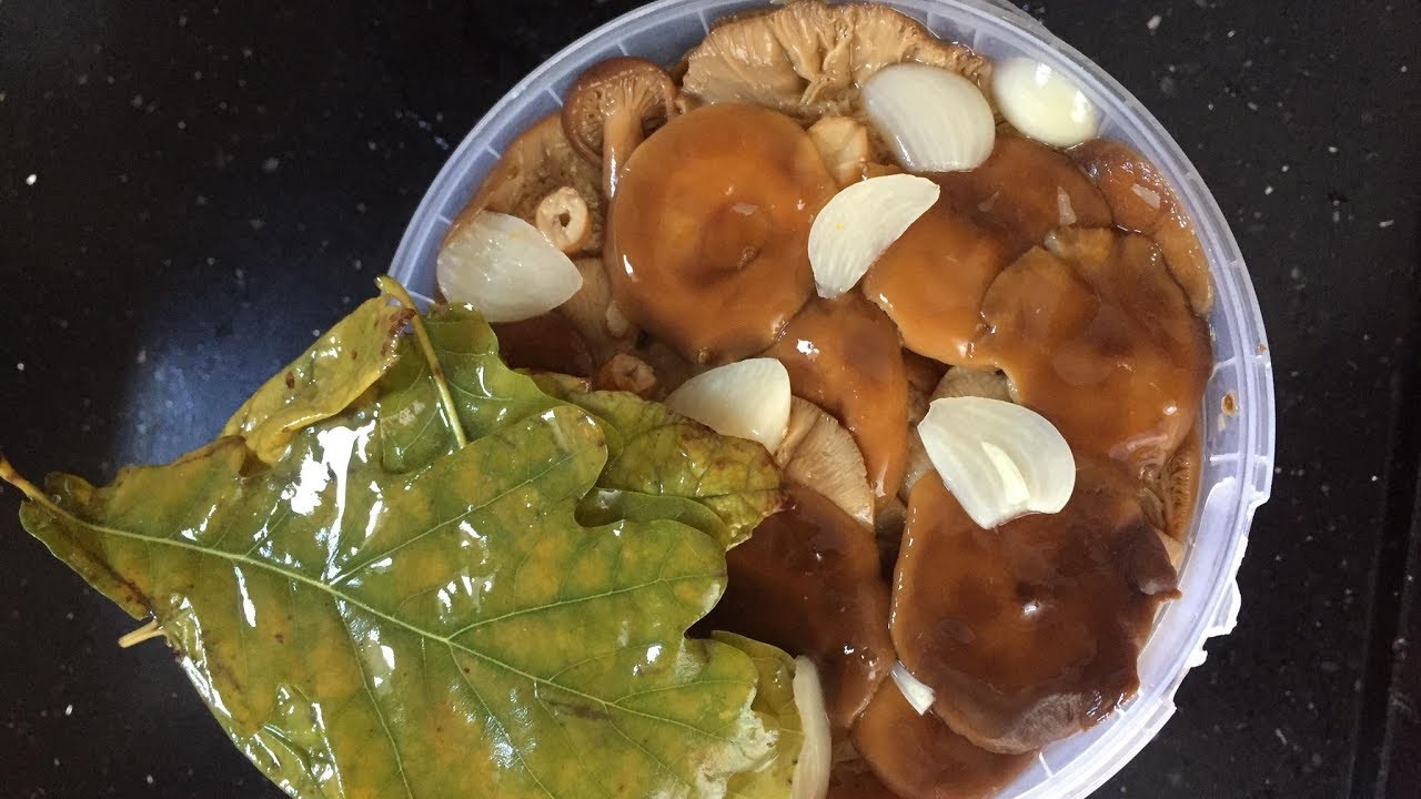 Маринованные опята на зиму: 5 самых вкусных рецептов