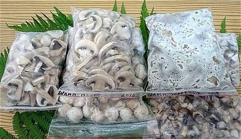 Как и сколько можно хранить грибы вешенки: 7 способов