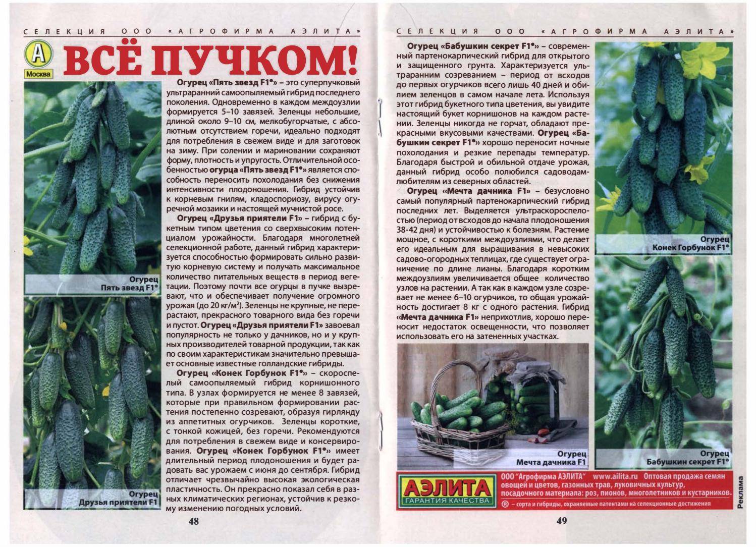 Огурцы «сибирская гирлянда f1»: характеристики, достоинства, особенности выращивания